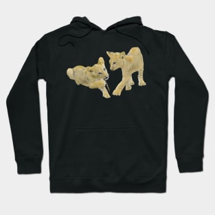 Lion-Babies - Predator - Cat - Big Cat - Africa Hoodie